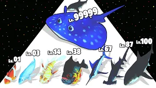 Fish Rush - Level Up Fish Max Level Gameplay (Fish Evolution Run)
