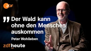 Sind unsere Wälder noch zu retten? | Precht im Gespräch mit Förster Wohlleben