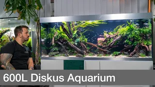 Doch keine Diskus im High-End 600L Aquarium? | Liquid Nature