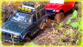 FMS Land Cruiser 80 and Rochobby Fire Horse vs MUD GONE WRONG !!!