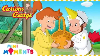 George's Egg Collection Invention 🐣 | Curious George | Compilation | Mini Moments