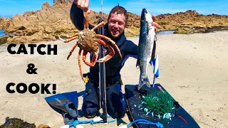 SPEARFISHING - Giant Spider Crab - Speared Big Mullet , Catch & Cook Giant Spider Crab !