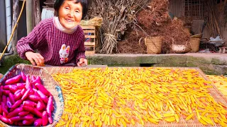 Harvest sweet potatoes, Chinese grandma's Secret Recipe, sweet country life