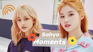twice sahyo moments i think about a lot