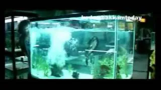 Piranha 3D Movie Trailer.wmv