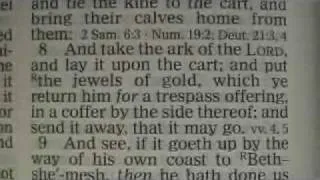 1 Samuel 6 Holy Bible (King James)