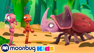 Bad Neighbours | ANTIKS | Moonbug Kids - Funny Cartoons and Animation