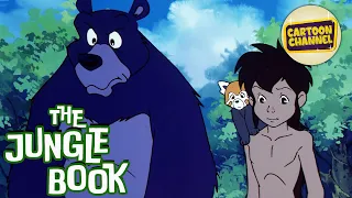 The Jungle Book // Episode 28 // Free Cartoons for Kids // Adventure Toons // Animated Series