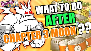 You Beat Chapter 3 Moon, What's NEXT? The Battle Cats Beginner Guide