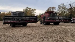 How Do Combine Harvesters Work Inside? Case IH And Gleaner!