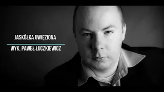 Jaskółka Uwięziona - wyk. Paweł Łuczkiewicz (Oryginał Stan Borys)