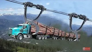 Dangerous fast destroy big tree machine working/extreme equipment exhibitor cutting tree machine