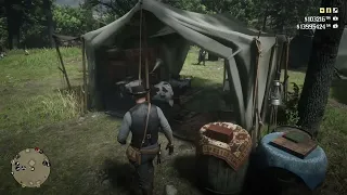 RDR2 - what happens if you donate $100,000 to camp