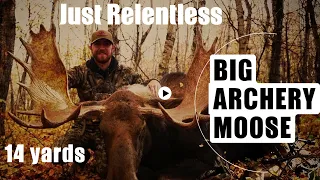 BIG MOOSE SHOT AT 14 YARDS WITH A BOW!    JR S3 EP05 14 yards