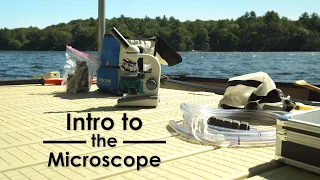 The basics of the microscope in the cyanoScope kit | cyanoScope