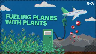 Airlines Look to Fuel Planes With Plants. But Should They?