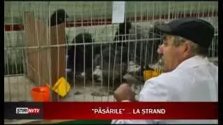 Expoziție de păsări și animale mici la Satu Mare