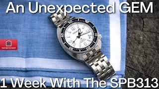 The Seiko SPB313 Is SO CLOSE To Being The Best: One Week Review: The Slimmest High-End Prospex Diver