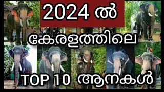 കേരളത്തിലെ ഉയരം കൂടിയ 10 ആനകുട്ടികളുടെ ലിസ്റ്റ്| Top 10 elephants in kerala 2024 height malayalam