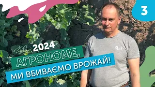 Зріджені посіви, чому? | Агрономе, ми вбиваємо врожай!