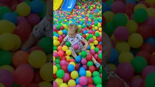Сухий басейн з кульками, який обожнюють діти