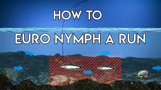 Euro Nymphing a Run | How To