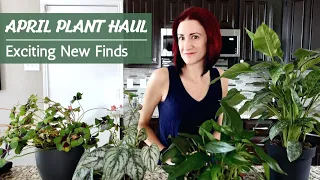 Spring Houseplant Haul 2022 + Plant Care Tips | I'm in love with these new plants!