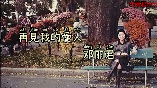 再见,我的爱人《邓丽君》 Goodbye my love Teresa Teng