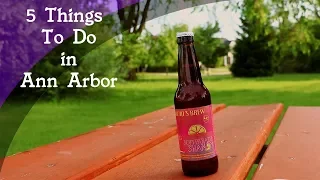 5 Things to Do in ann Arbor