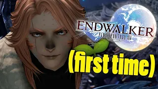 We Can SAVE The World! - FFXIV ENDWALKER MSQ Continues! - Dawntrail Catch-Up!