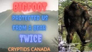 CC EPISODE 432 BIGFOOT STOPPED A BEAR FROM ATTACKING US TWICE