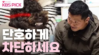 [#개는훌륭하다] 깜빡이 안키고 입질하는 푸들 '로이' ! "주도권을 주지 마세요" 🐶ㅣKBS 230313 방송