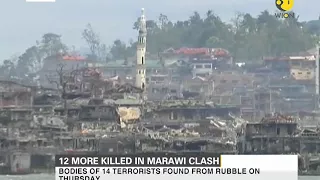 12 more terrorists killed in fighting in Marawi, Philippines