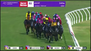 CASINO SEVENTEEN - Perth Cup 2024(3YO+ G2) Group 2 Ascot 1 January