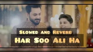 Har Soo Ali Hai | Zain Zaidi | Ali Hamza | Slowed and Reverb
