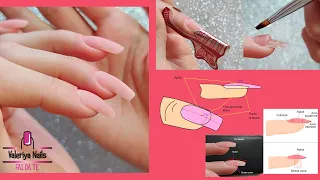 Nail extensions with Nail forms | Step by step | Theory and practice