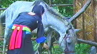 Hmong new movie - Nkauj Mim See Txoj Kev Ua Ntsuag Nyob Ntiaj Teb No Part 1.2