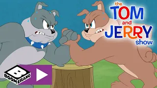 Tom & Jerry | Storebror | Boomerang Danmark