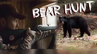 RIFLE BLACK BEAR HUNT IN CANADA