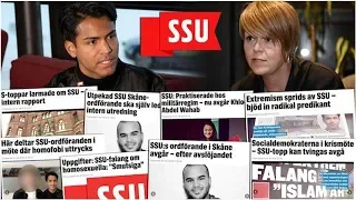 Efter granskningarna: SSU i Skåne blir av med bidrag