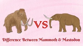 Mammoth VS Mastodon...who was stronger than another?