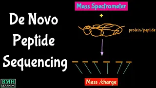 De Novo Peptide Sequencing | Tandem Mass Spectrometry Protein Sequencing |