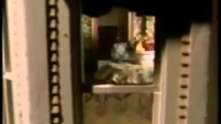 Are You Afraid of the Dark  Promo for The Tale of the Doll Maker   1994