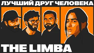 THE LIMBA: Как Тик Ток меняет музыкальную индустрию x ЛУЧШИЙ ДРУГ ЧЕЛОВЕКА