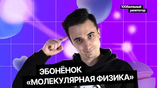 Обзор и решение задач по молекулярной физике! | Саня Эбонит | 100балльный репетитор