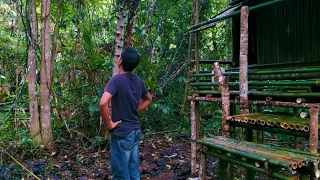 Membangun shelter natural di hutan sumatera-solo camping di hutan