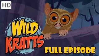 Wild Kratts - Zig-Zagged (Full Episode)