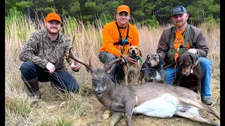 The Catahoula Two-Step - Deer Tracking Dogs, A Big Mess And A Giant Buck