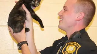 Cop saves kitten on Metro Detroit freeway