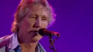 Pink Floyd - Comfortably Numb (Subtitulos en Español) HD